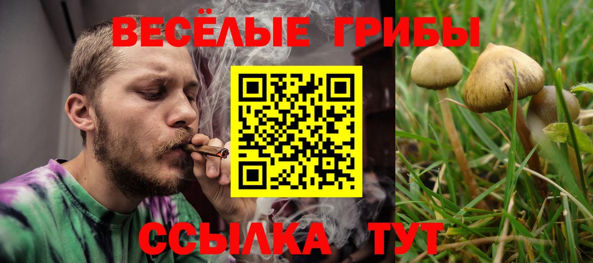 Псилоцибиновые грибы мицелий Шали