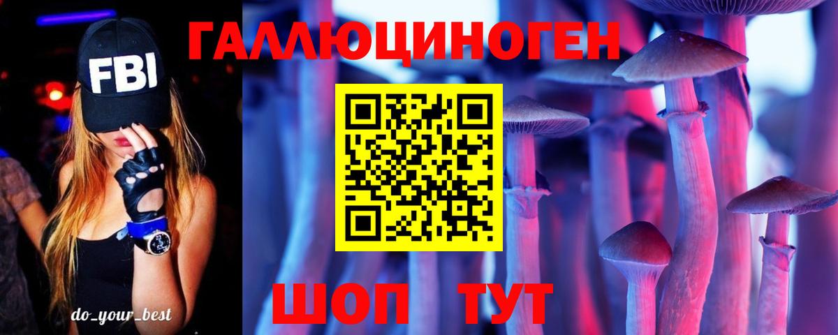 Галлюциногенные грибы MAGIC MUSHROOMS  Псилоцибиновые грибы мицелий  Вход с VPN  Шали 
